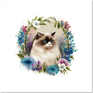 Ragdoll Cat Posters and Art